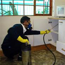 Commercial Pest Control