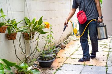 Pest Control Dwarka New Delhi